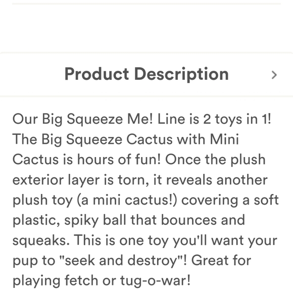 Dog Toy: Big Squeeze Cactus with Mini Cactus toy inside - Picture 6 of 7